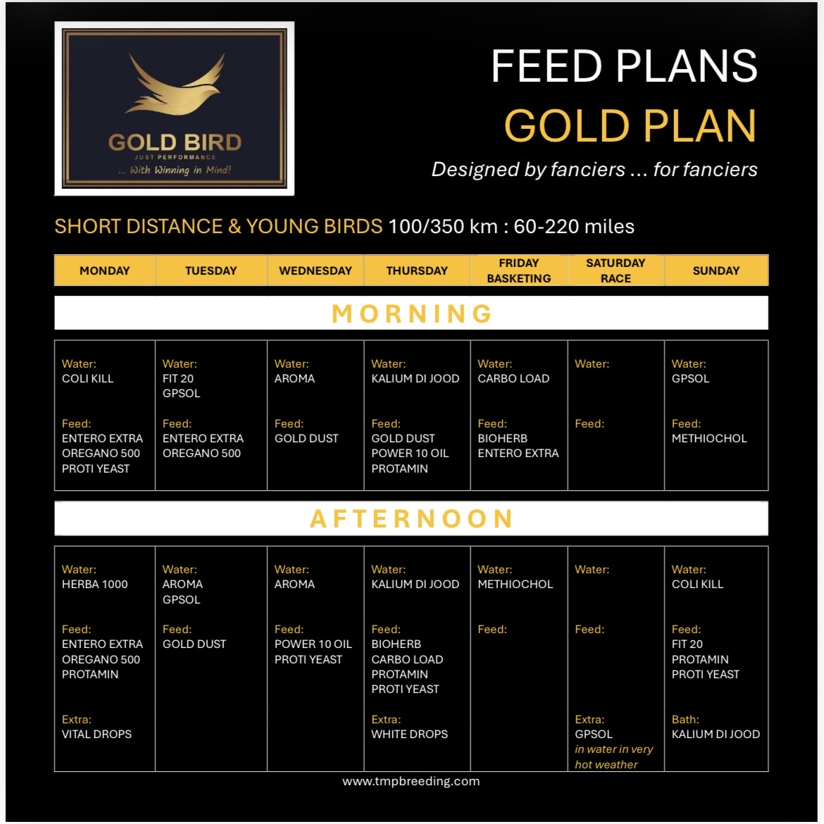 Gold Bird Package : YOUNG BIRDS