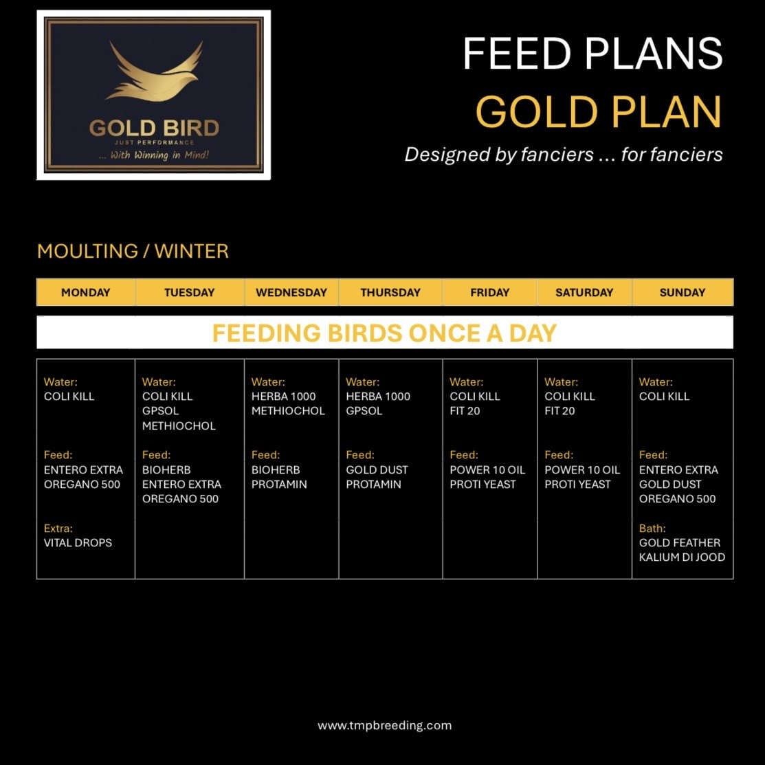 Gold Bird Package : MOULTING (Essentials)