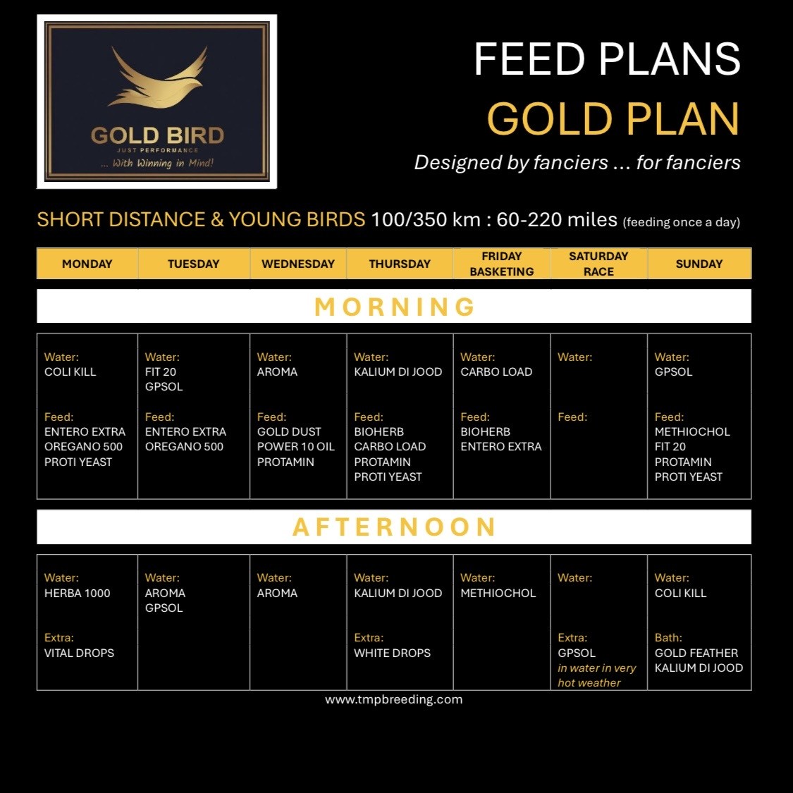 Gold Bird Package : YOUNG BIRDS